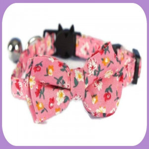 Collar-238